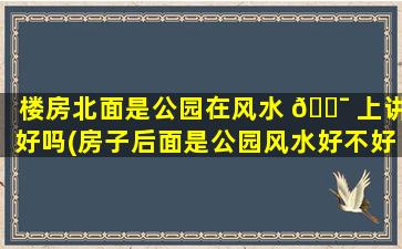 楼房北面是公园在风水 🐯 上讲好吗(房子后面是公园风水好不好)